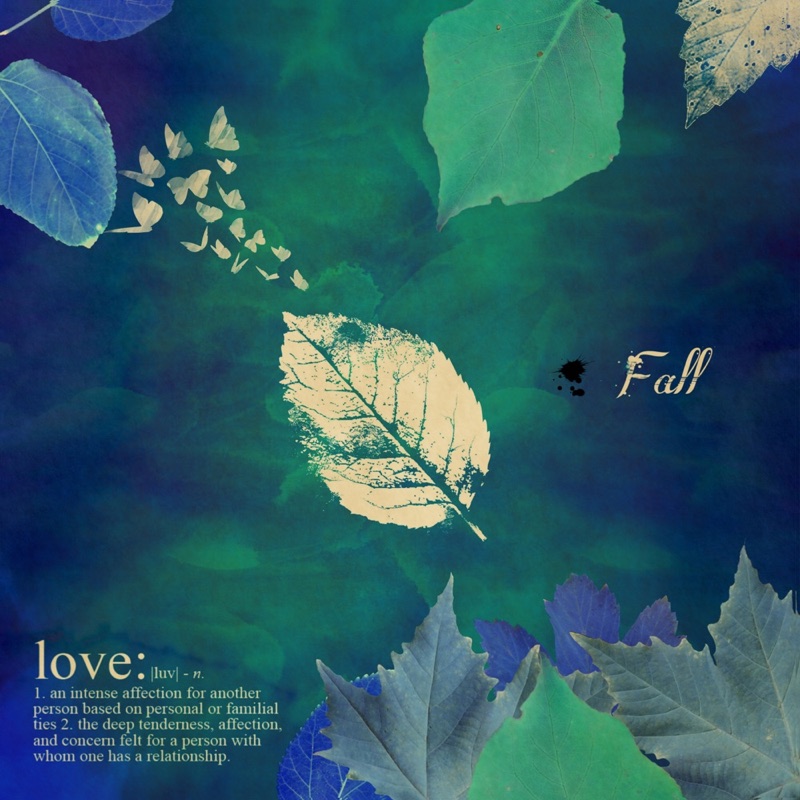 Willow cover art: pale leaves on deep blue and green